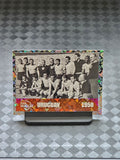 2026 Panini World Cup Sticker Foil