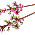 LEGO Cherry Blossoms Set 40725