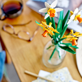 LEGO Daffodils Set 40747