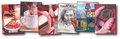 Rittenhouse Twin Peaks: The Log Lady Chronicles Hobby Box
